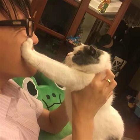 男不養貓 女不養狗